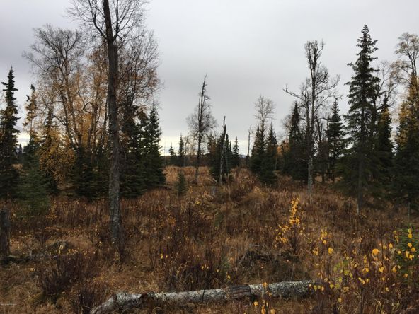 63885 Tailwind Rd, Ninilchik, AK 99639